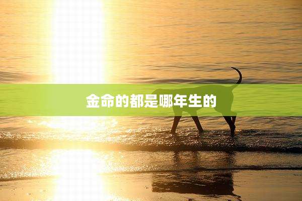 金命的都是哪年生的