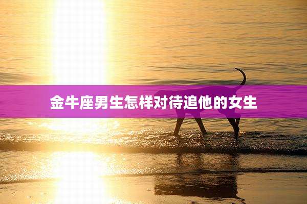 金牛座男生怎样对待追他的女生