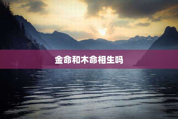 金命和木命相生吗