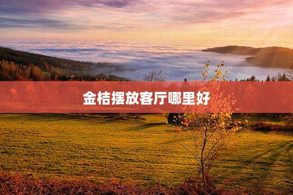金桔摆放客厅哪里好