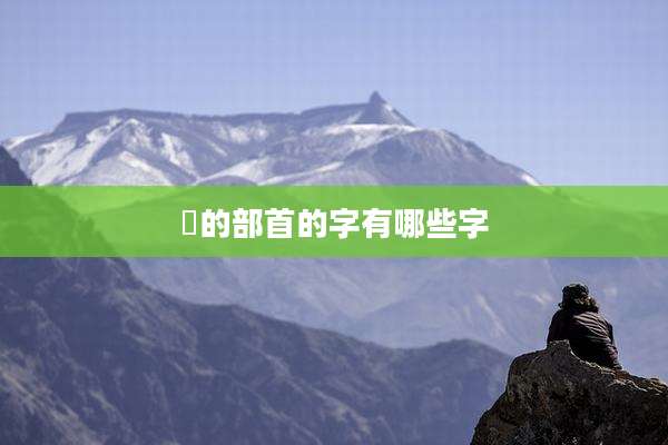 ⺮的部首的字有哪些字