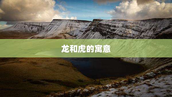 龙和虎的寓意