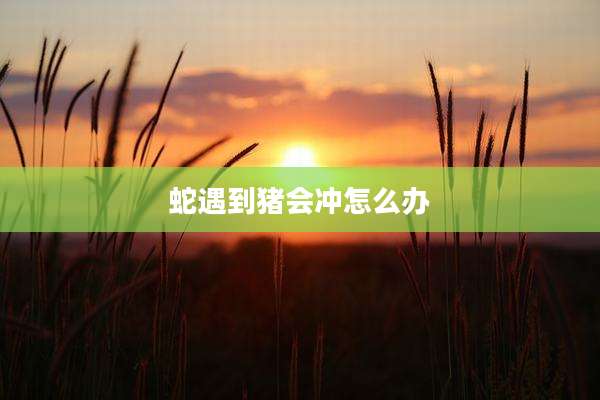 蛇遇到猪会冲怎么办