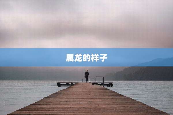 属龙的样子