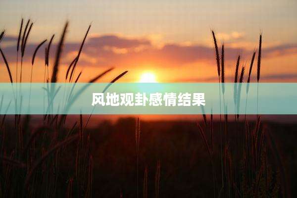 风地观卦感情结果