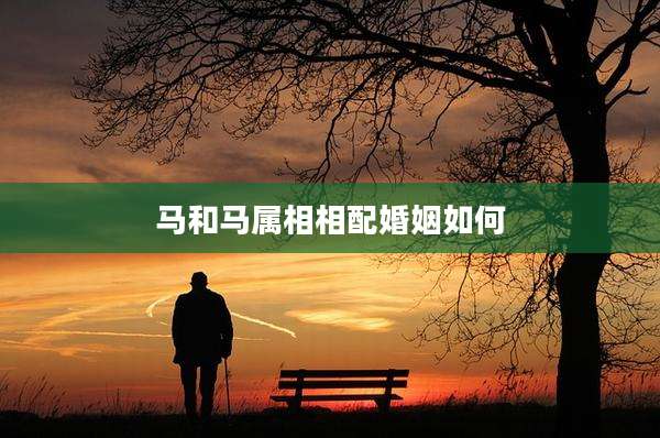 马和马属相相配婚姻如何