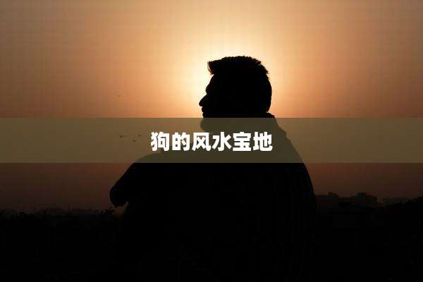 狗的风水宝地