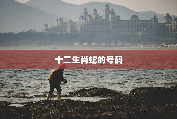 十二生肖蛇的号码