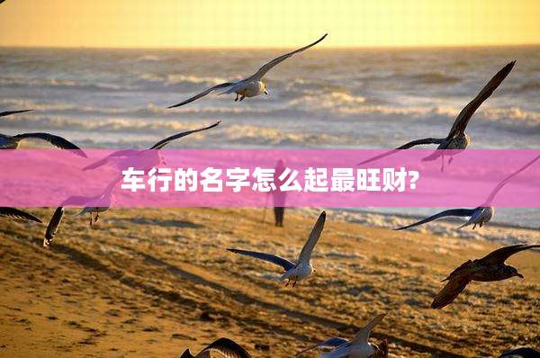 车行的名字怎么起最旺财?