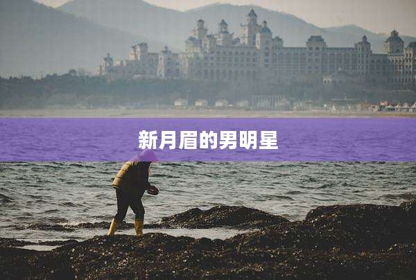 新月眉的男明星