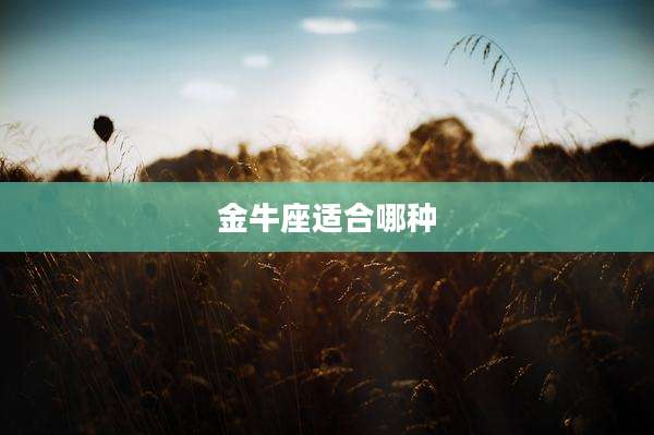 金牛座适合哪种