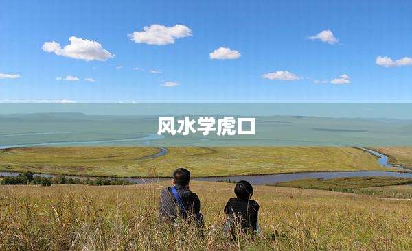 风水学虎口