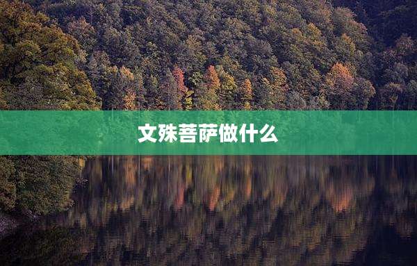 文殊菩萨做什么