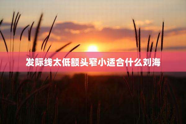 发际线太低额头窄小适合什么刘海