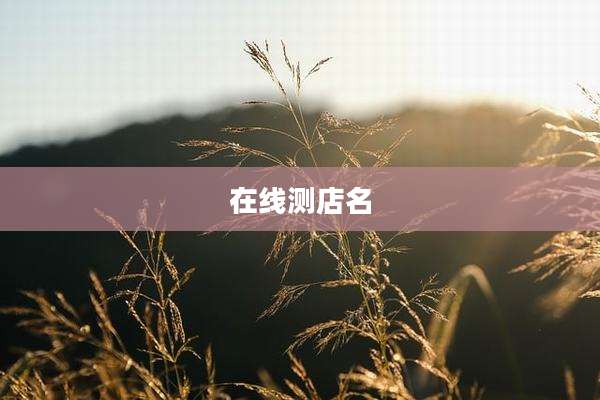 在线测店名