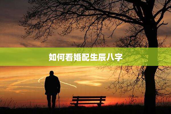 如何看婚配生辰八字