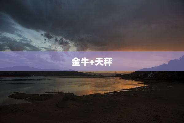 金牛+天秤
