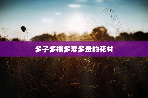 多子多福多寿多贵的花材