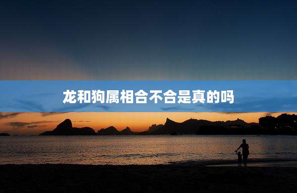 龙和狗属相合不合是真的吗