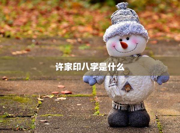 许家印八字是什么