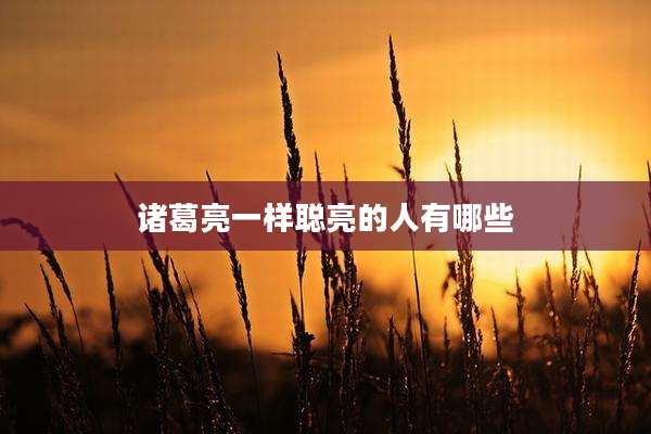 诸葛亮一样聪亮的人有哪些
