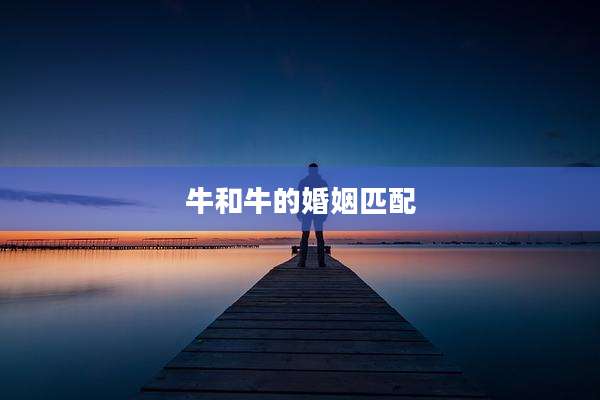 牛和牛的婚姻匹配