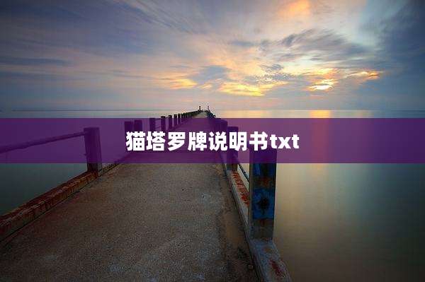 猫塔罗牌说明书txt