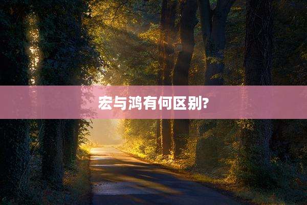 宏与鸿有何区别?