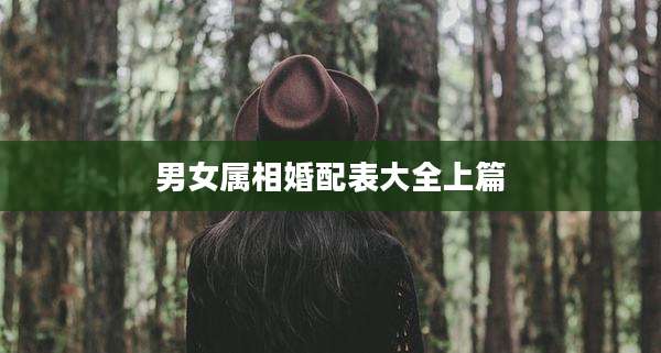 男女属相婚配表大全上篇