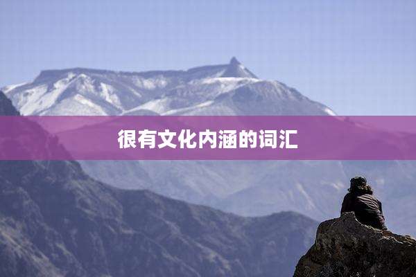 很有文化内涵的词汇