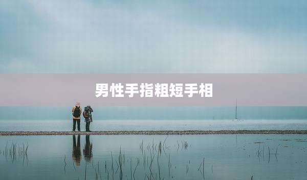 男性手指粗短手相
