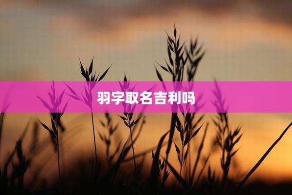 羽字取名吉利吗