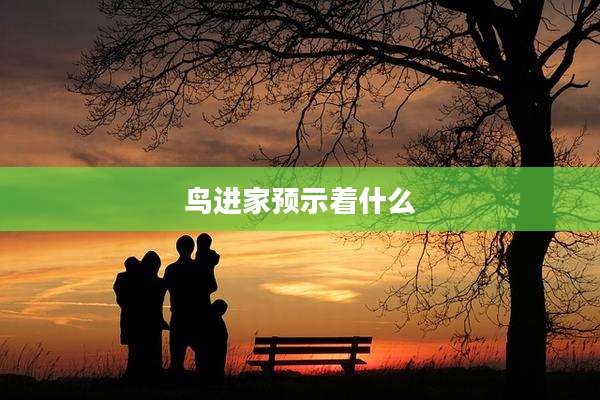 鸟进家预示着什么