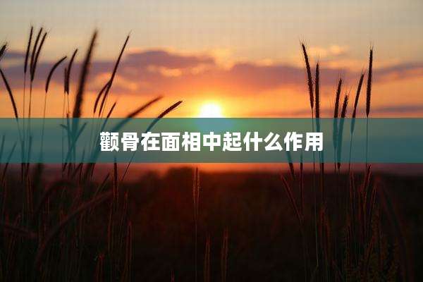 颧骨在面相中起什么作用