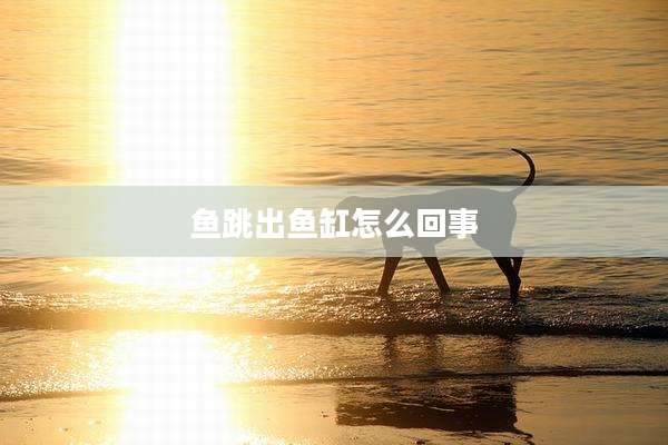 鱼跳出鱼缸怎么回事