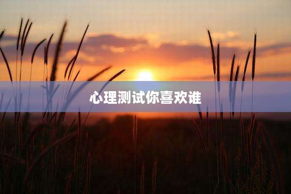 心理测试你喜欢谁