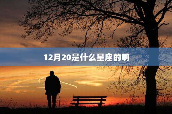 12月20是什么星座的啊