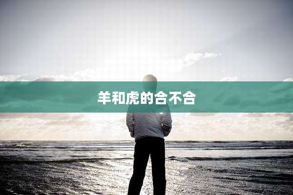 羊和虎的合不合