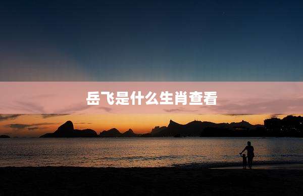 岳飞是什么生肖查看