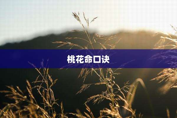 桃花命口诀