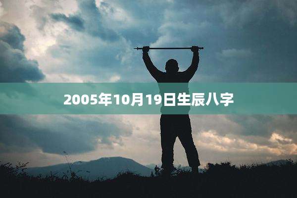 2005年10月19日生辰八字