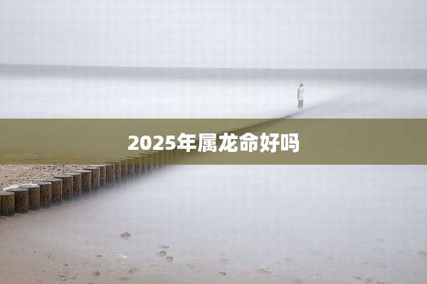 2025年属龙命好吗