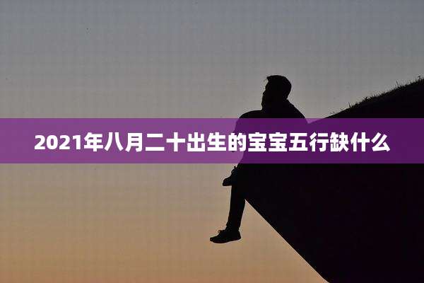 2021年八月二十出生的宝宝五行缺什么