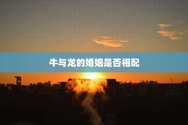 牛与龙的婚姻是否相配