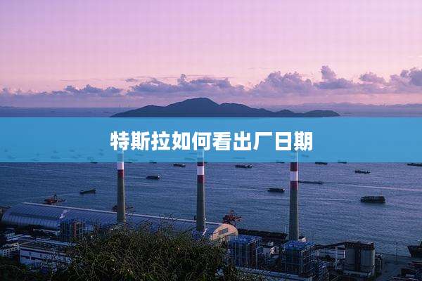 特斯拉如何看出厂日期