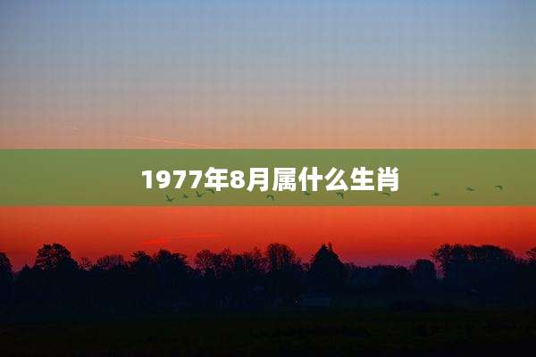 1977年8月属什么生肖