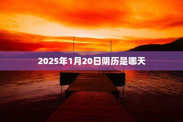 2025年1月20日阴历是哪天