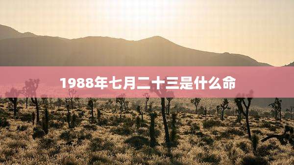 1988年七月二十三是什么命