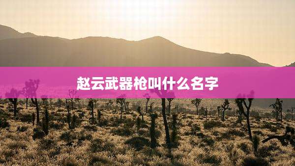 赵云武器枪叫什么名字