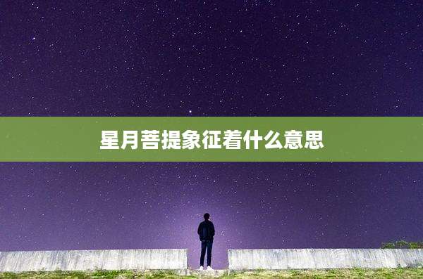 星月菩提象征着什么意思